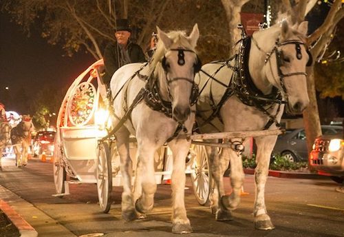 It's a Wonderful Night: horse-drawn carriage rides