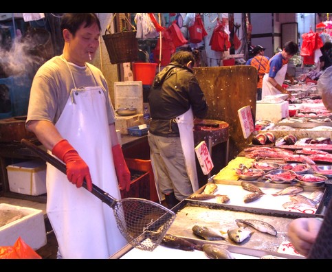 Hongkong Fish 2