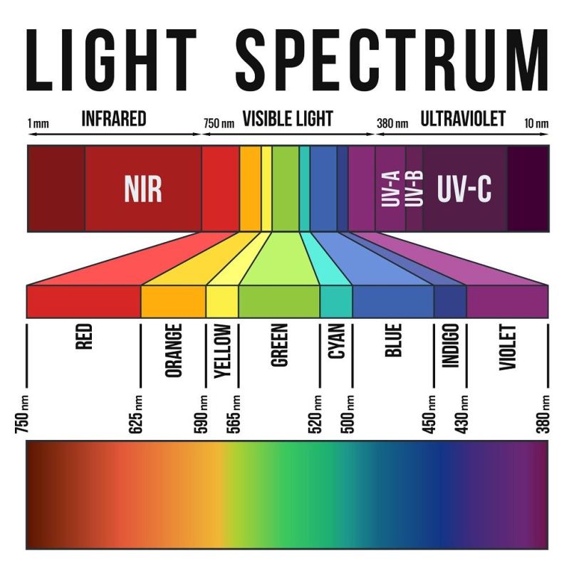 visible light spectrum