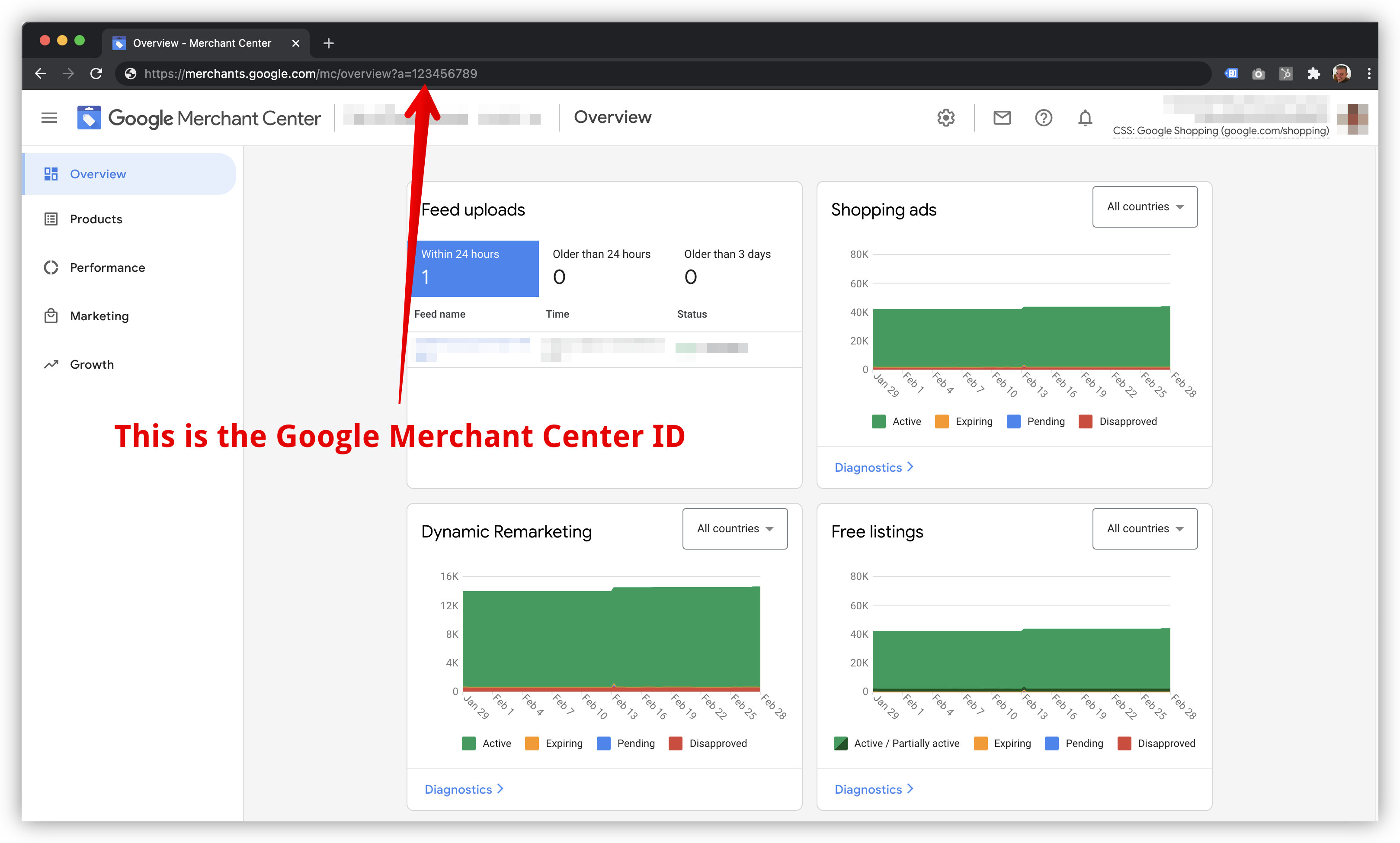 Google Merchant Center ID