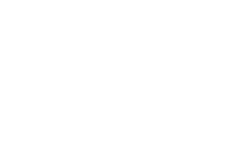 logo-levis21-reverse