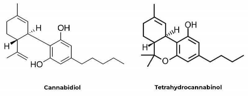 Chemical Composition of THC and CBD