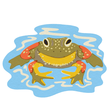 BESIDE_15animals_2021bullfrog.png