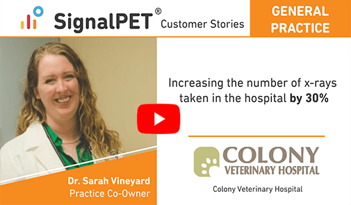 sarah-vineyard_vedio
