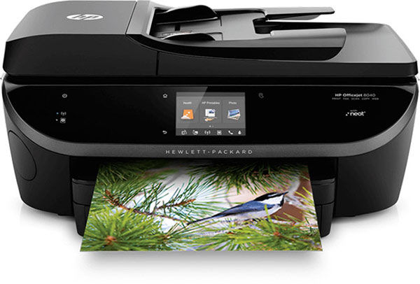 An HP printer printing a picture of a bird in branches