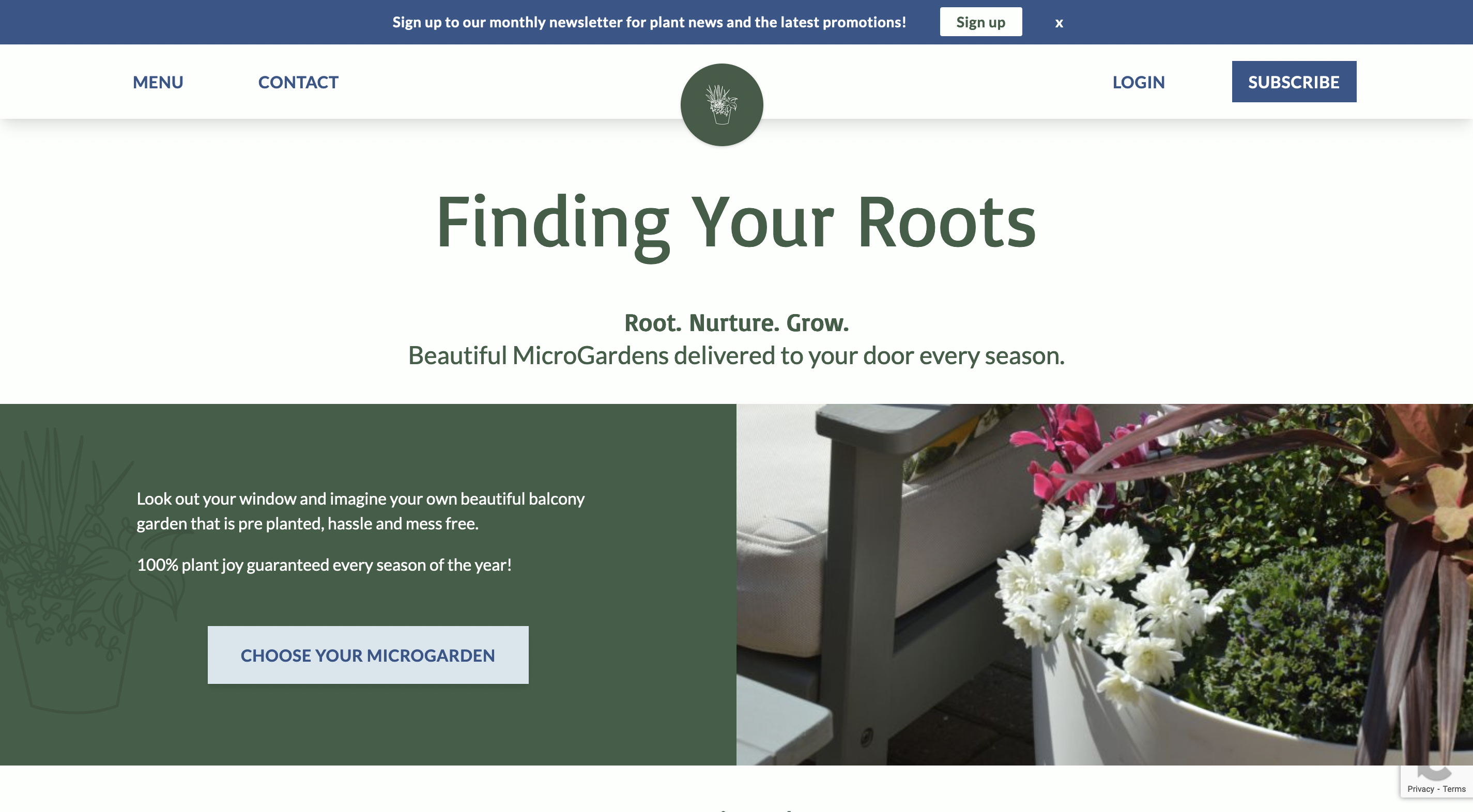 Finding Roots website screenshot