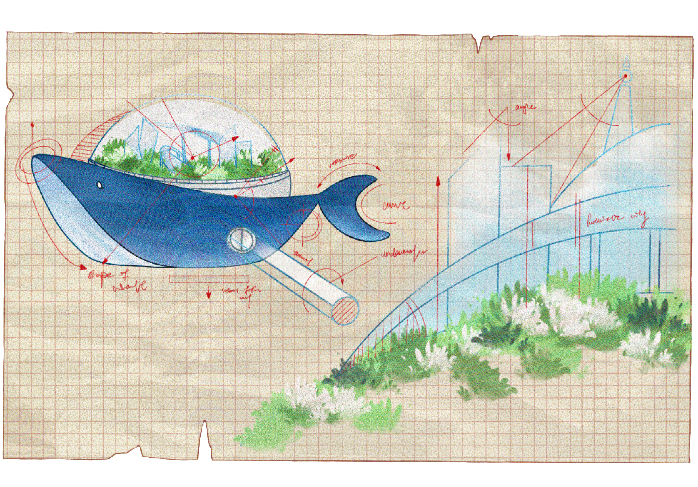 ecozean's Features Map