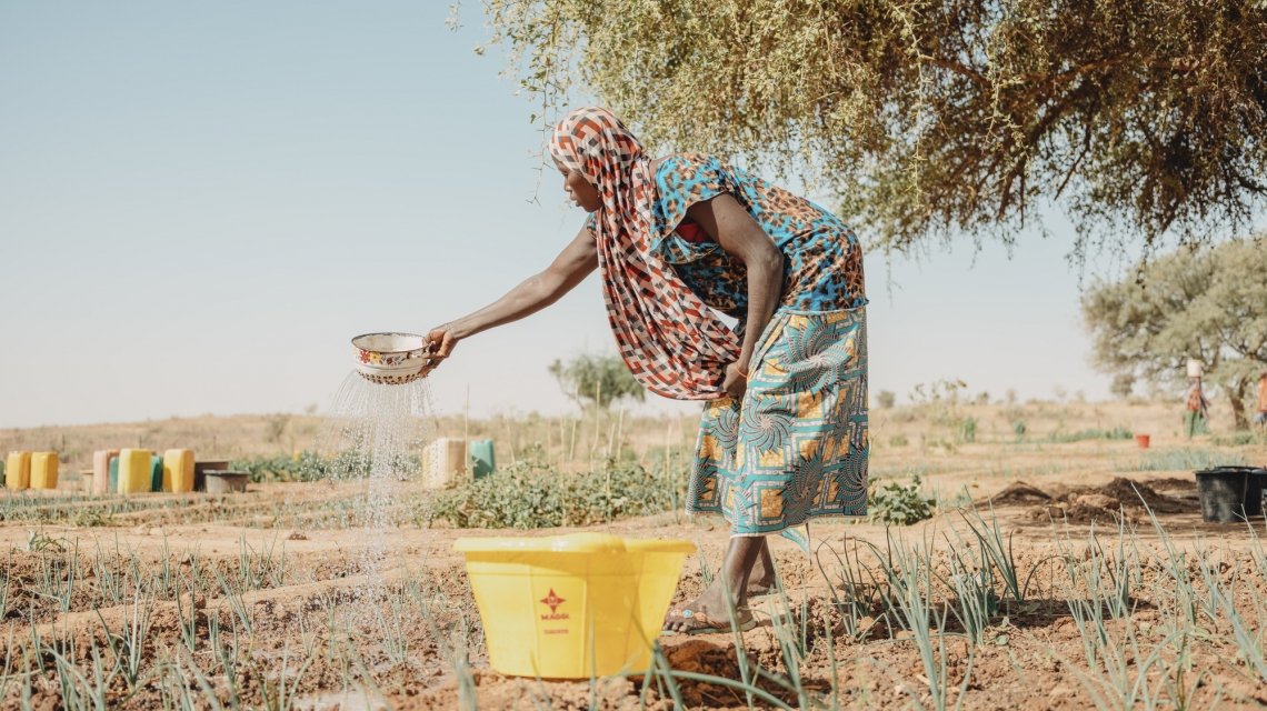 A woman waters a kitchen garden potager in Niger