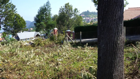 Plot 98 Serenitea - Road approach to plot
