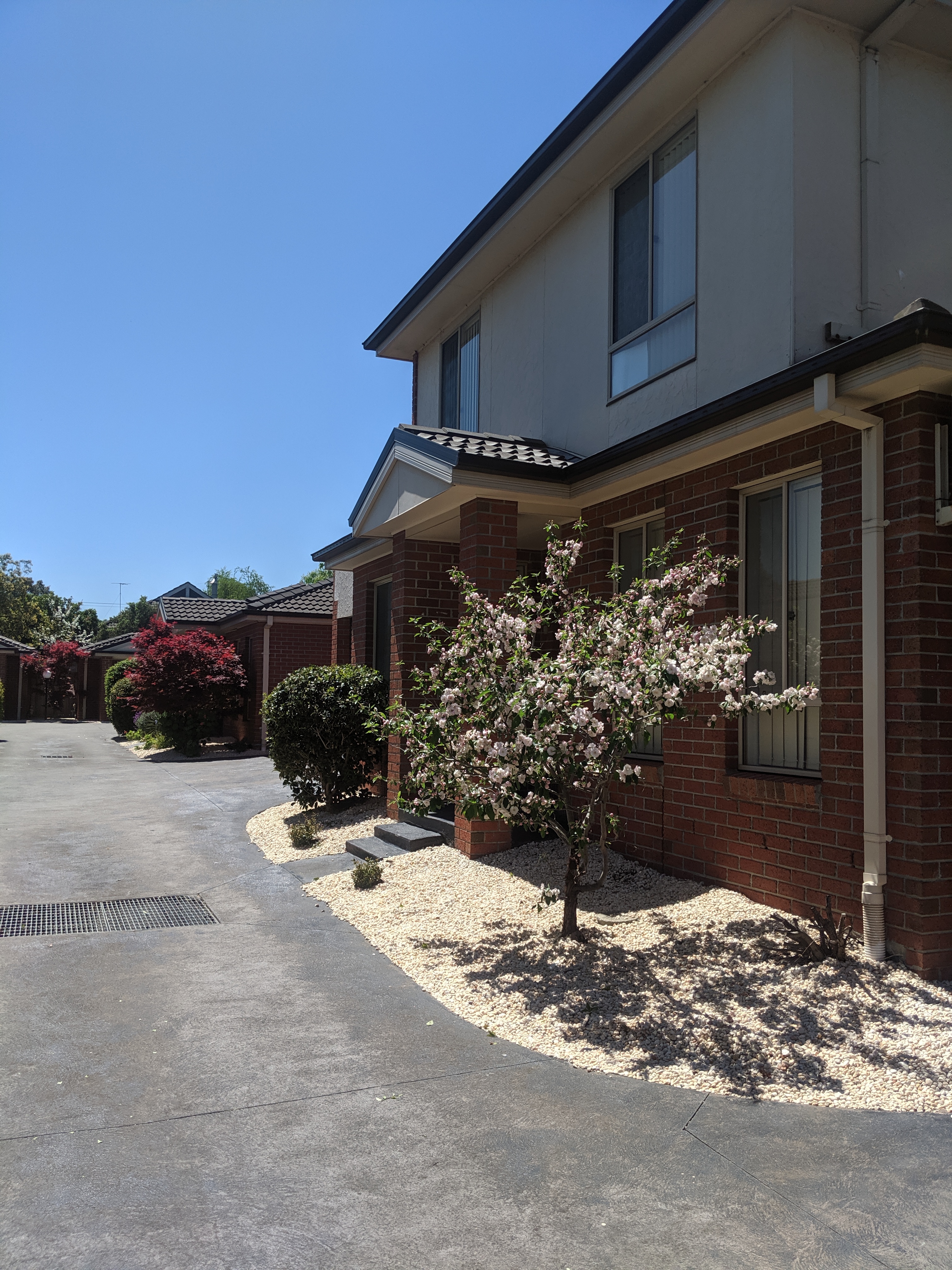 recent landscaping work image 7