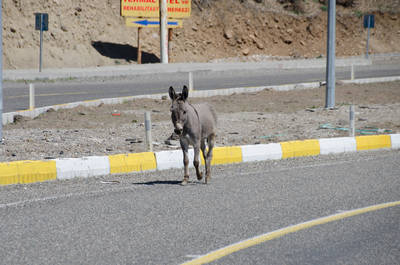 Hey, du bist auf der falschen Seite!