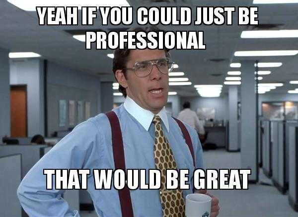 Image on a meme about being professional