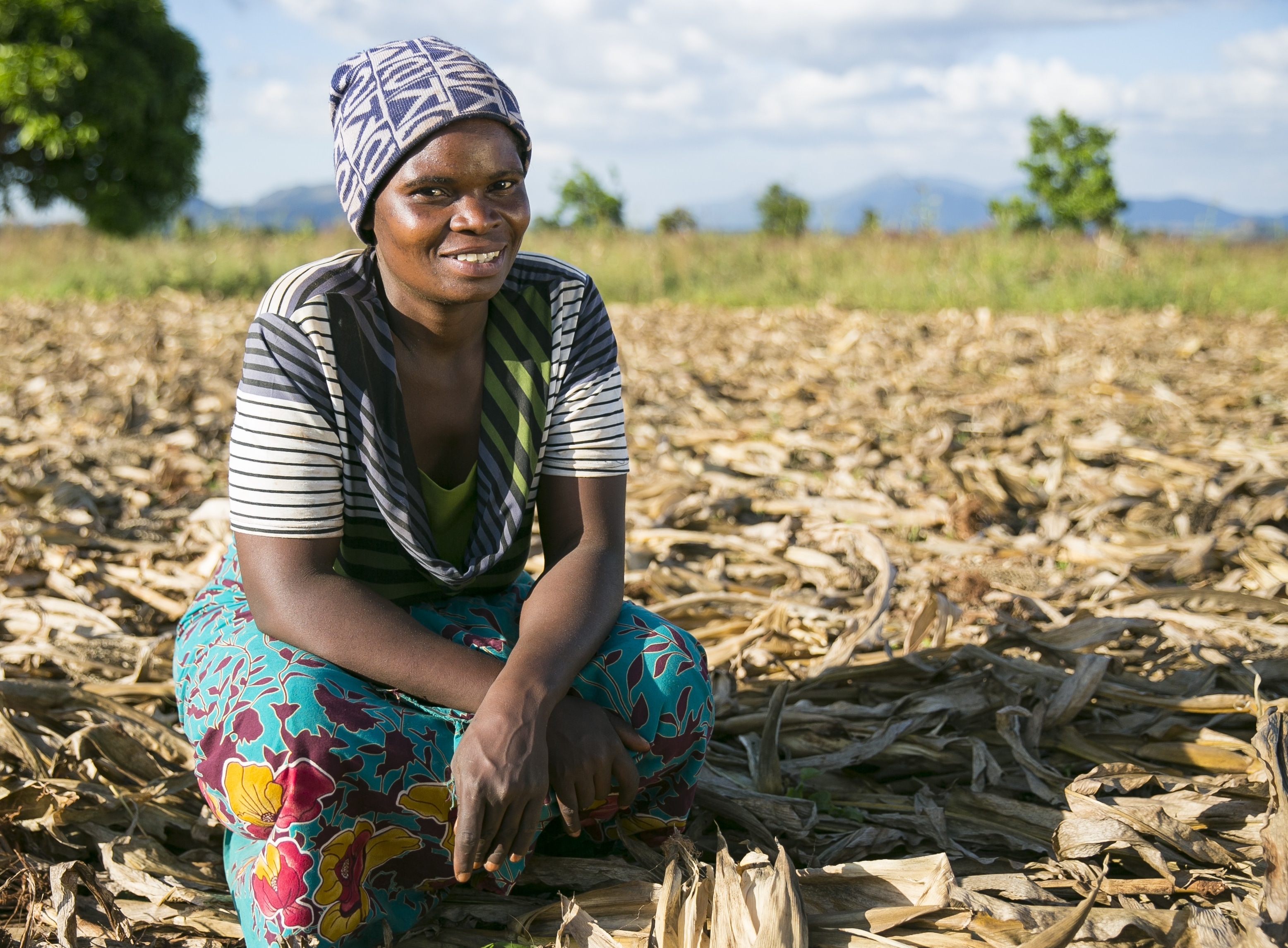 Malawian farmer Agnes Jack with her field, which has been treated using Climate Smart Agriculture techniques