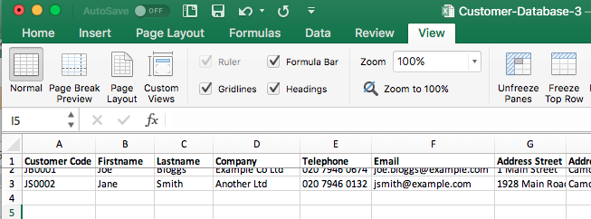 Excel Customer Database Example