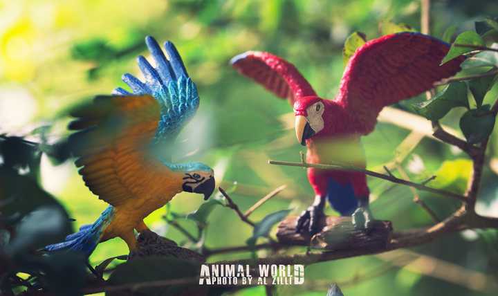Animal World