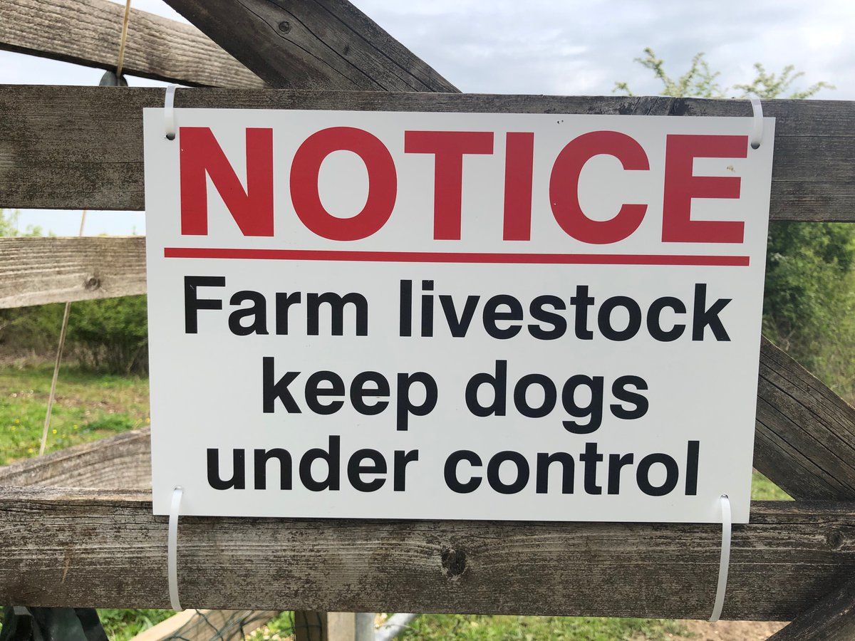 oh my god twitter doesn’t include alt text from images in their API