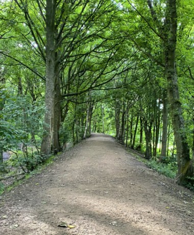 Bramley Fall Woods main footpath through the woods