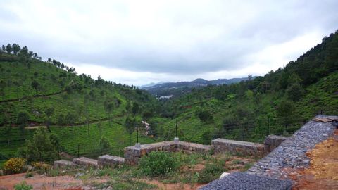 Birdseye view of Gymkhana