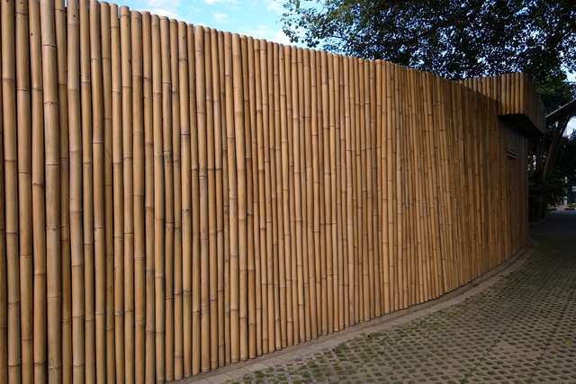 Magic Green - Artotel Bamboo