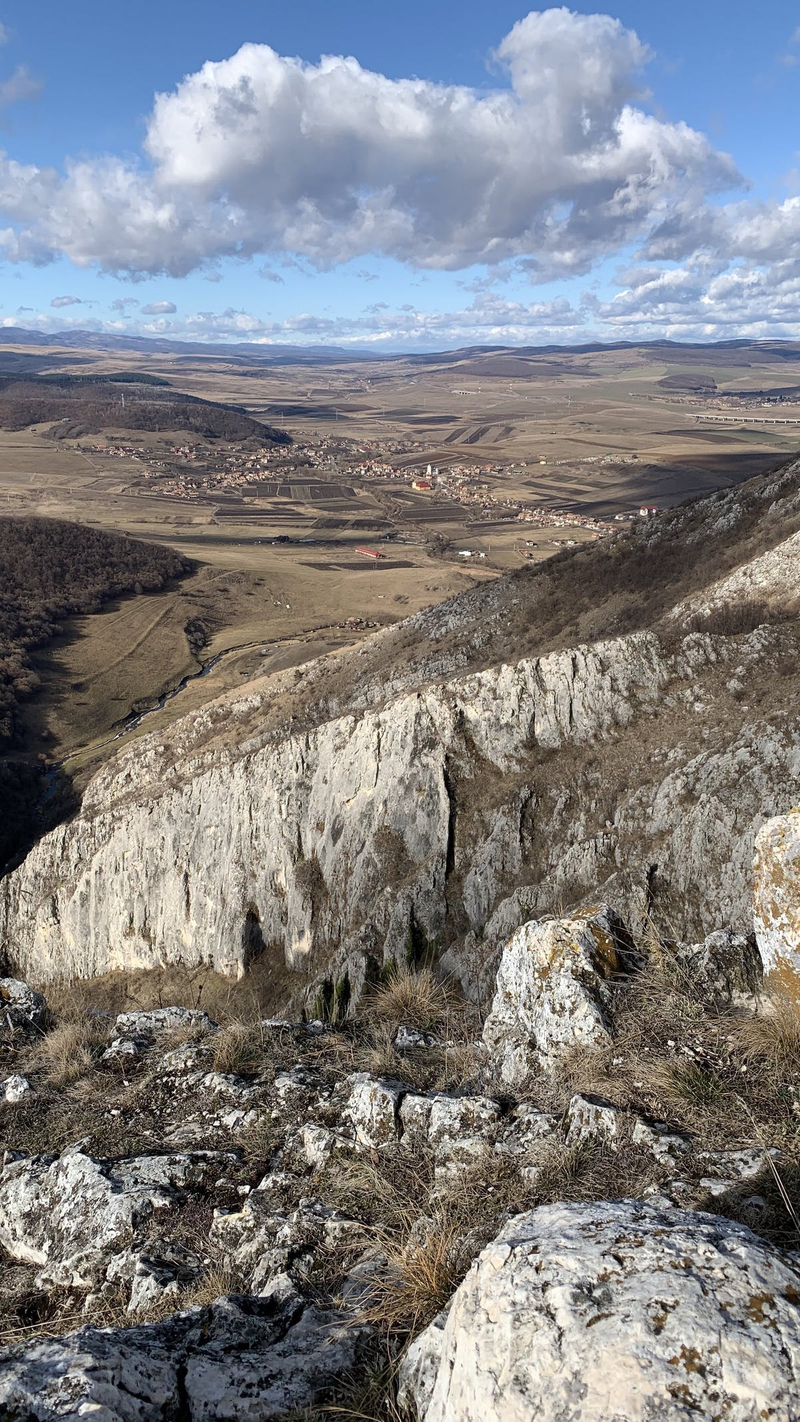 Vedere spre Petrestii de Jos