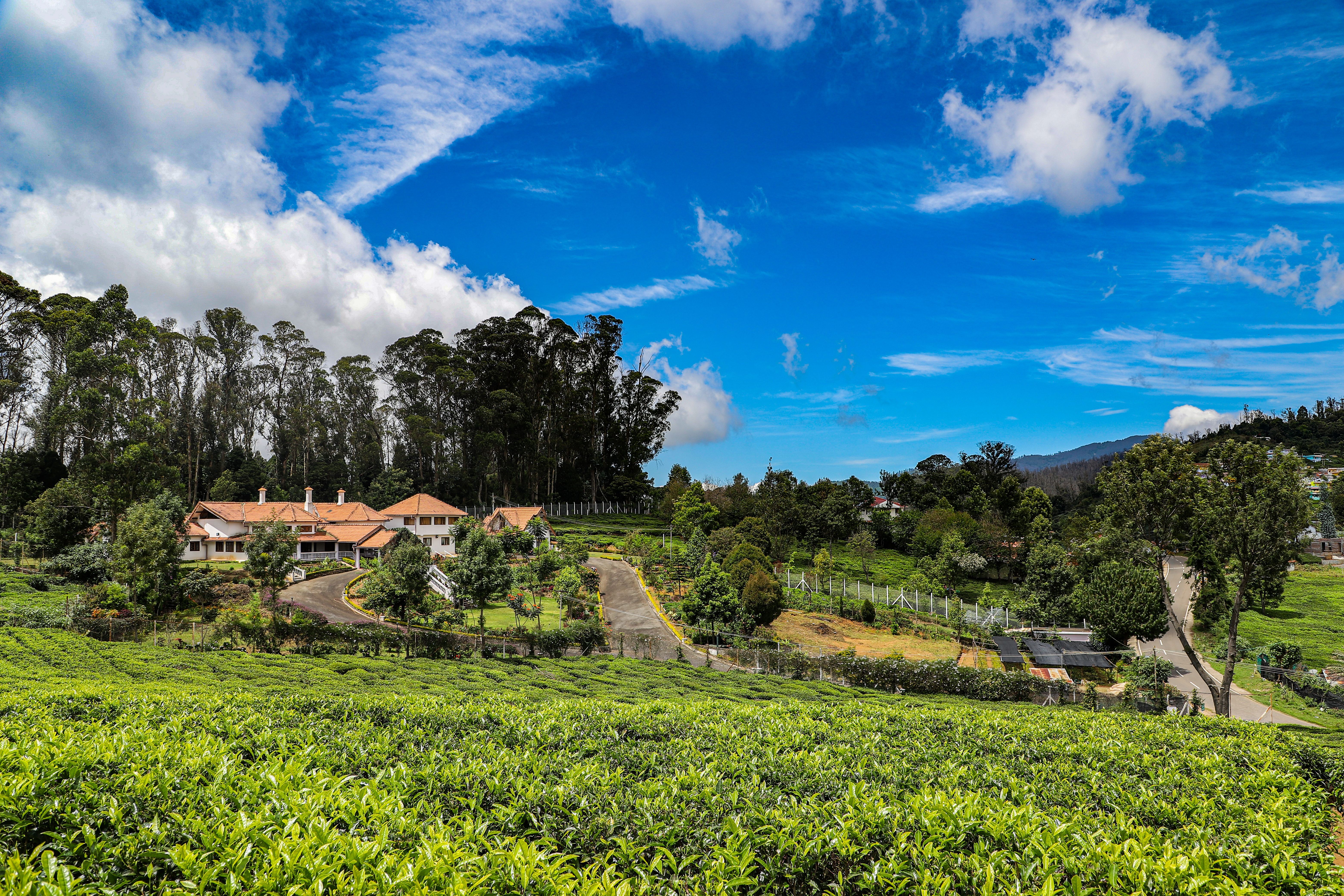Colonial style House for Sale in Wellington, Coonoor