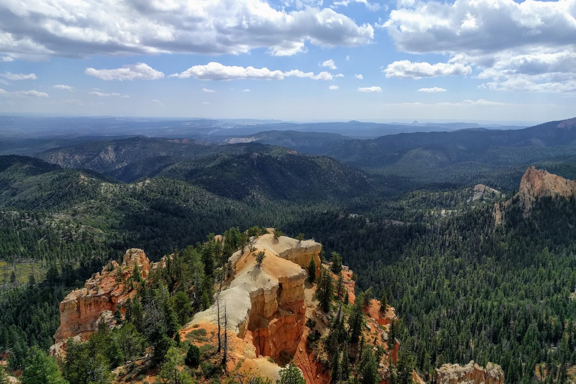 The view down an exceptionally wide fin of rock extending from the South Wall of Bryce Canyon. Beyond it, a pine forest stretches out to the horizon.