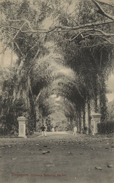 Entrance of Botanical Gardens, 1900s