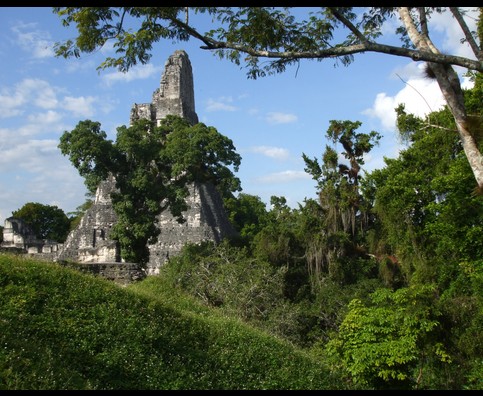 Guatemala Tikal 9
