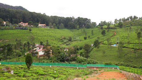 View of the valley with stream