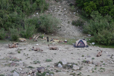 Karawane in Afghanistan