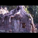 Cambodia Jungle Ruins 10