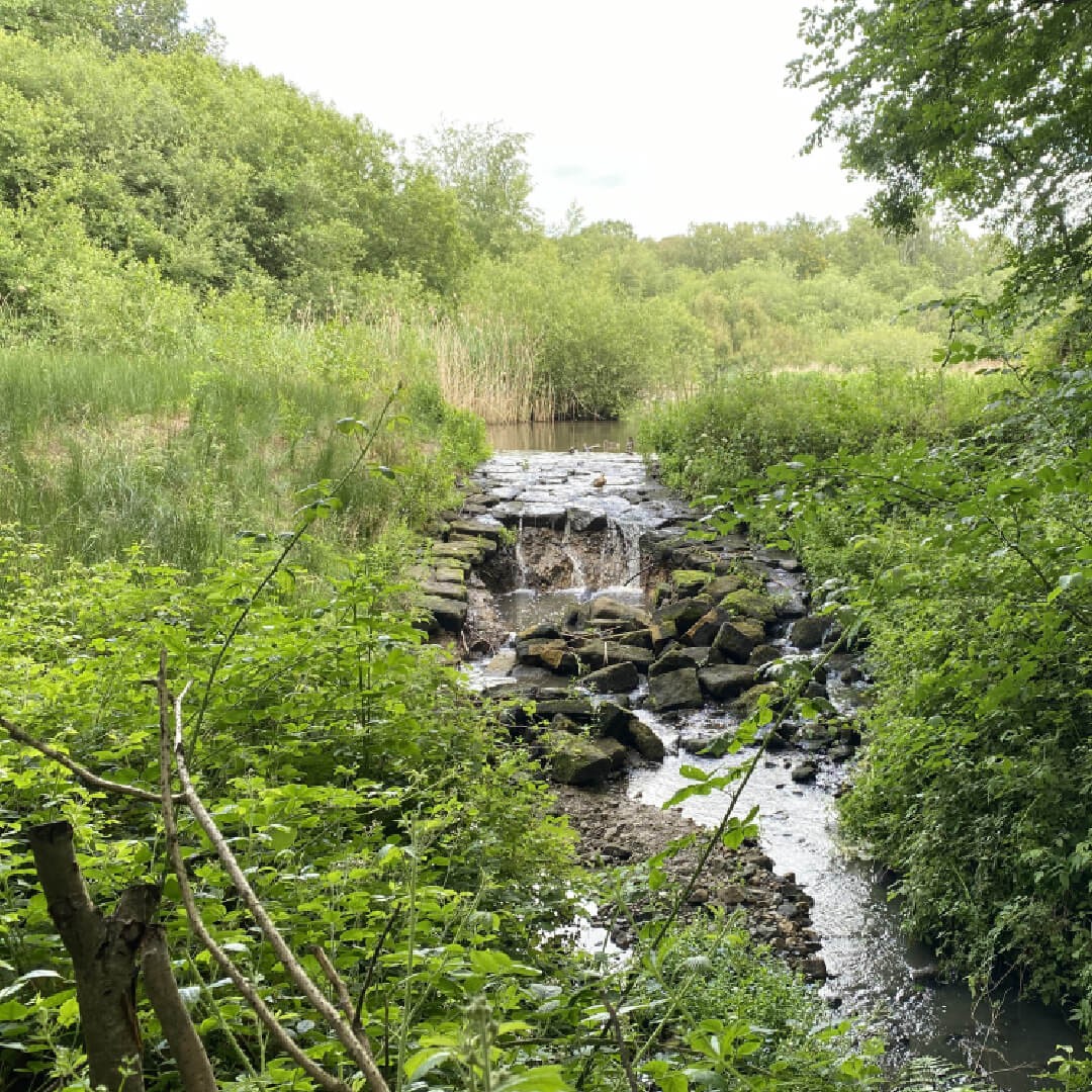 Adel Nature Reserve waterfall