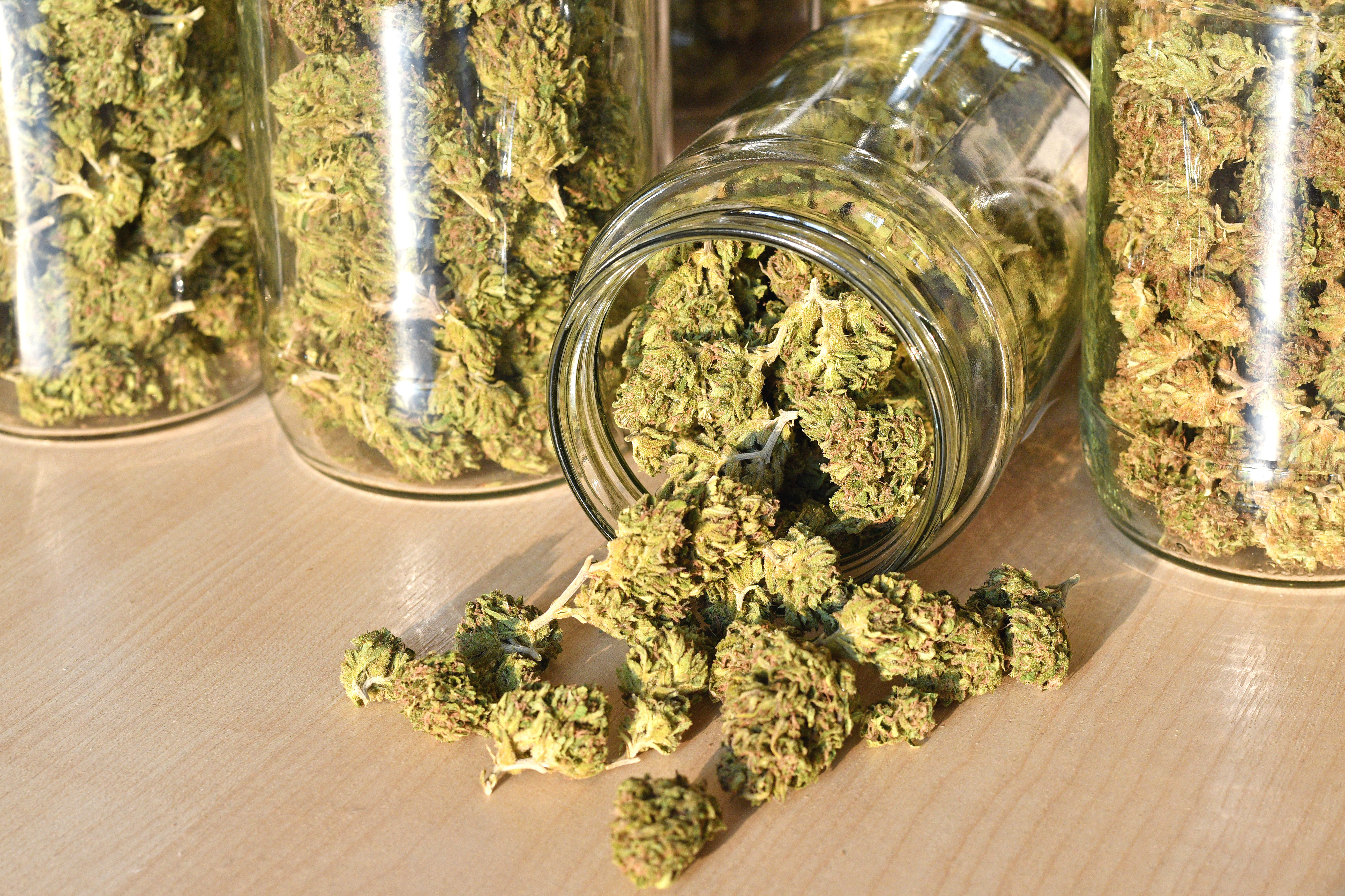 Cannabis Stored in Glass Jars Cannabis Stored in Glass Jars