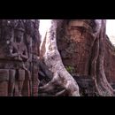 Cambodia Jungle Ruins 8