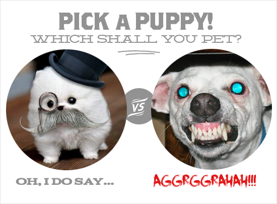 Pick a puppy\! Aka The Nature of Risk