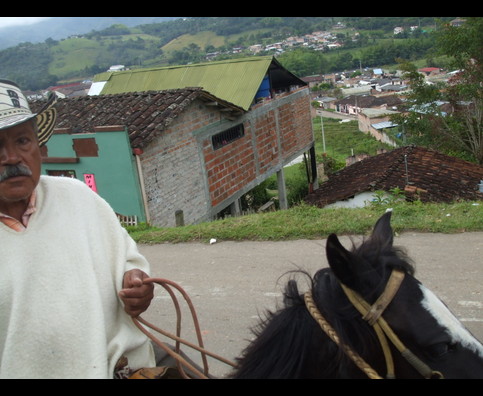 Colombia Sanagustin Horses 5