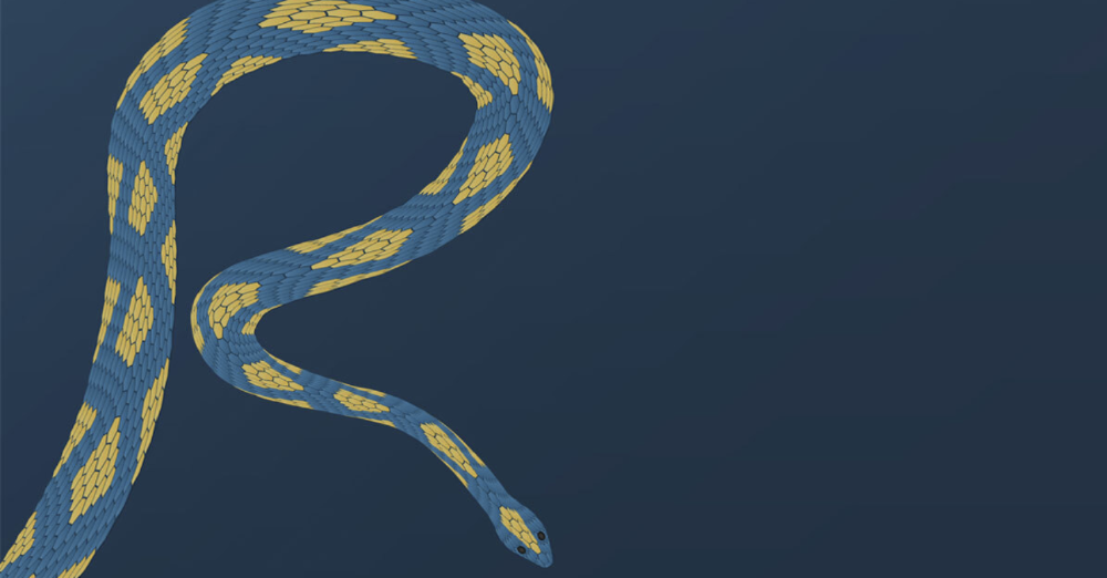 Debunking the Myths of R vs. Python