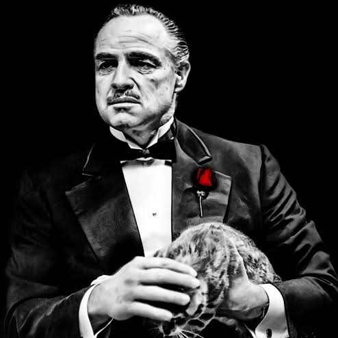 Mr Godfather