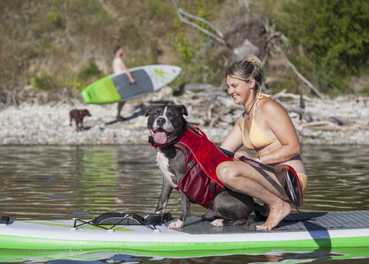 ​The Art of Paddling Boarding with Your Pup