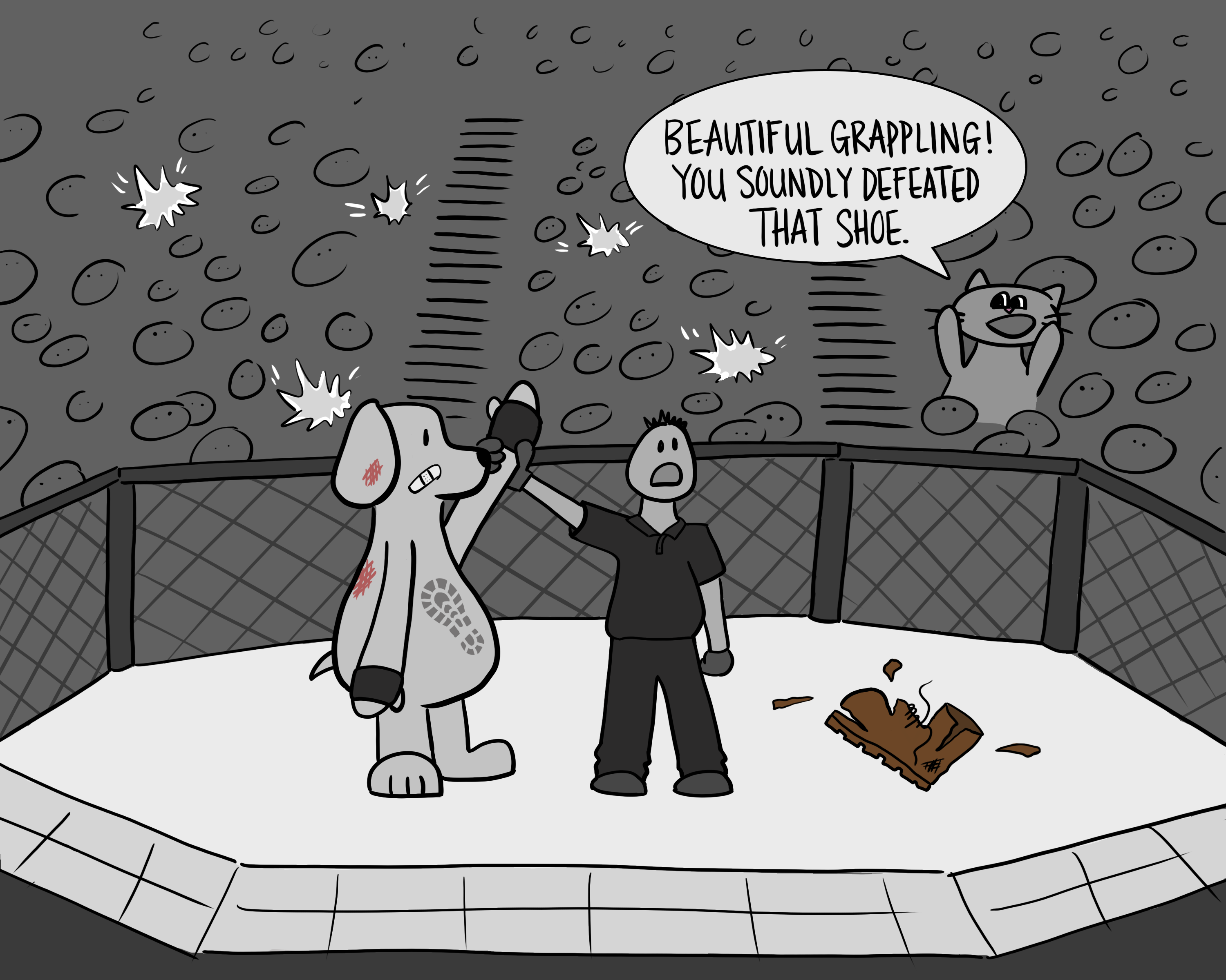Final version of MMA cartoon