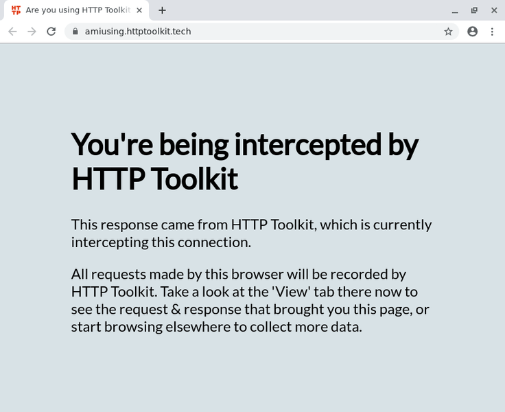 A Chrome window showing the intercepted AmIUsing page