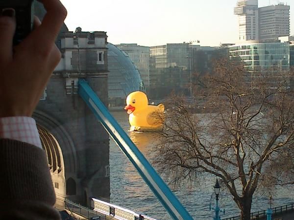 oh my god twitter doesn’t include alt text from images in their API