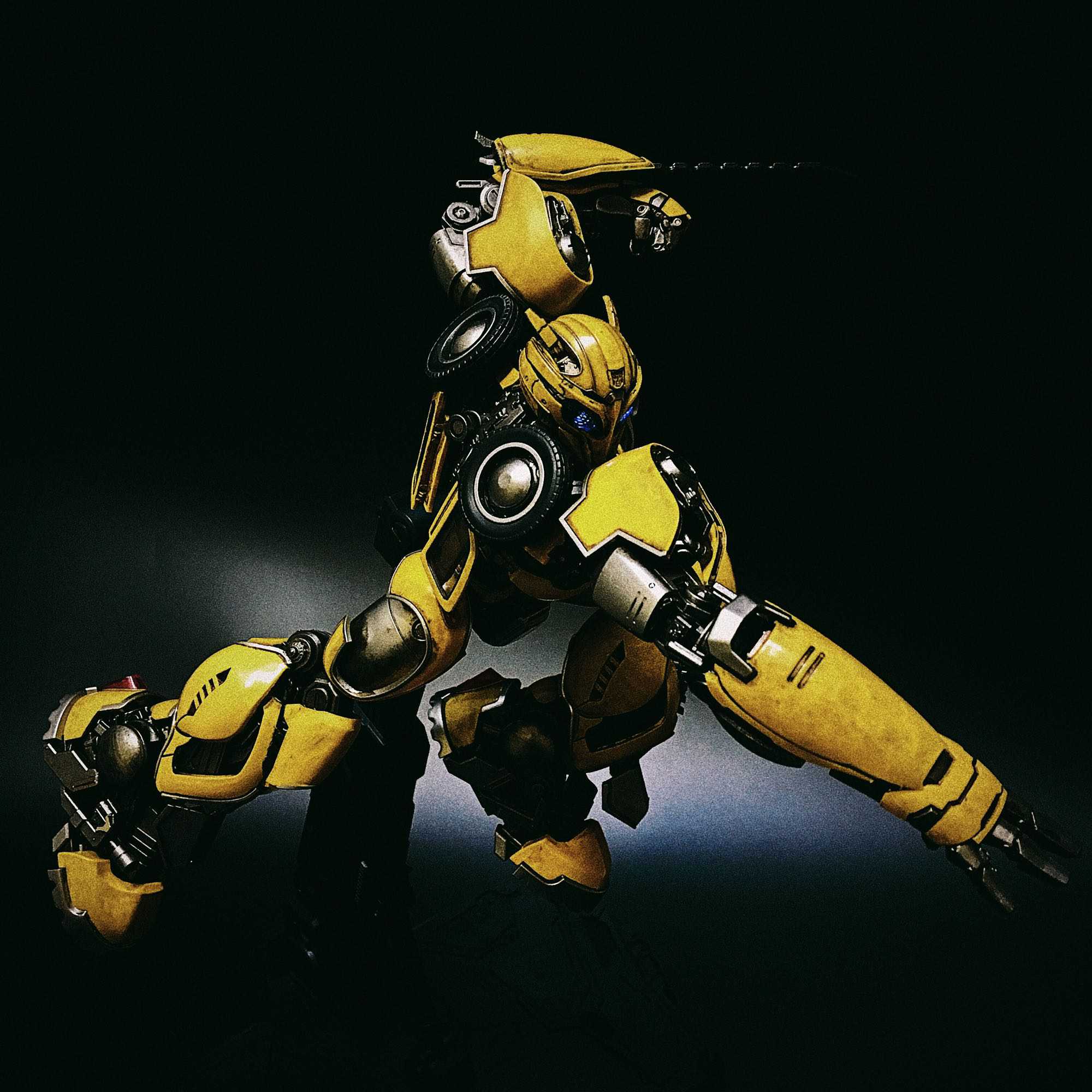 When Bumblebee Has Blade