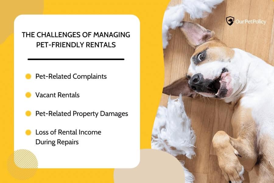 Challenges of managing pet-friendly rentals