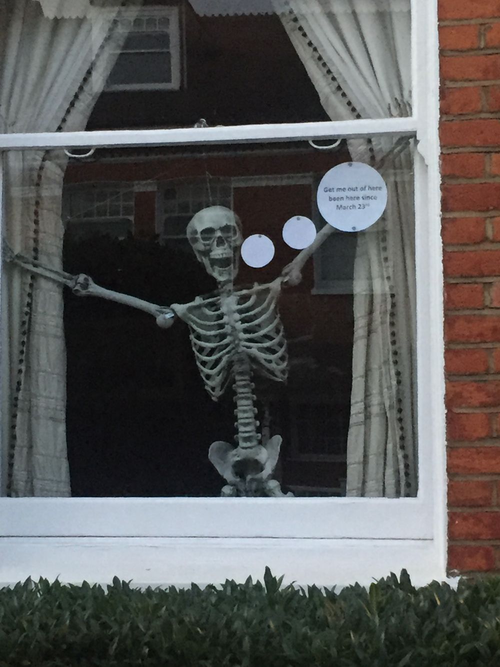 An exterior shot of someone's house. In the front window a life-sized skeleton model, arms spread to the top of the window, mouth open. A paper speech bubble reads: Get me out of here. Been here since March 23rd.