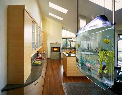 Understanding Home Aquarium