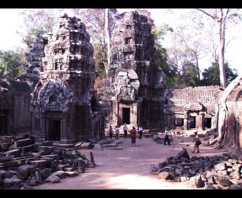 Cambodia Ta Prohm 24