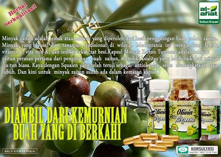 Minyak Zaytun Olivia Turseena