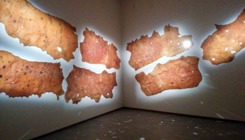 Fumes - Art, Photography, Ideas - 161127 ATLAS OF MIRRORS BY ROKMA 20