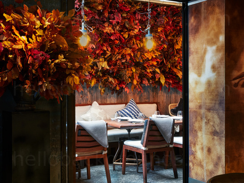 restaurant interior featuring autumnal leaf decoration with cream padded benches opposite wooden tables and chairs Skype background